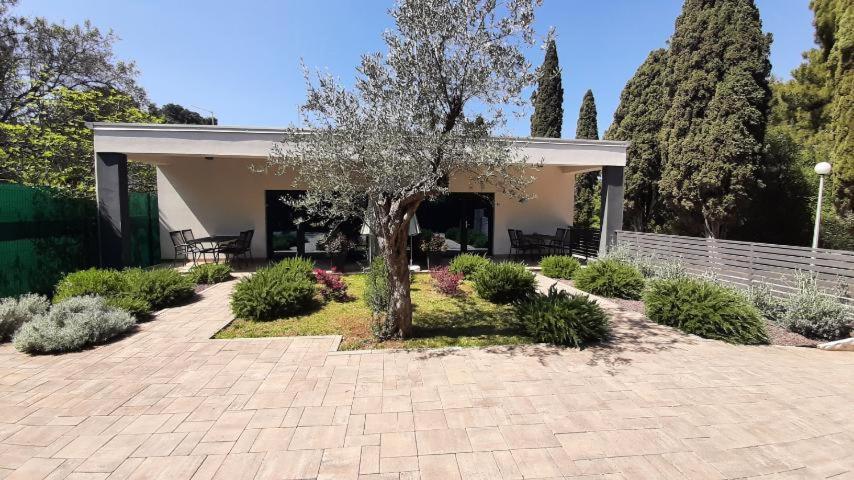Apartmani Brajkovic Rovinj Bagian luar foto